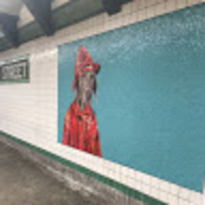 Meet your Posher, Ebbi